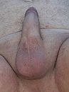 mijn penis, foto 600x800, 1 reacties, 5 stemmen