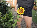 mooi, foto 2592x1944, 3 reacties, 15 stemmen