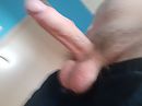 morning wood, foto 4000x3000, 4 reacties, 11 stemmen