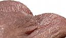 my balls, foto 2311x1361, 0 reacties, 4 stemmen
