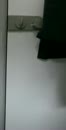 naakt lopen in openbaar toilet, film 00:00:00, 2 reacties, 9 stemmen
