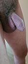 net wakker, foto 1801x4000, 2 reacties, 6 stemmen