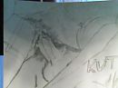 neuktekening,, foto 640x480, 0 reacties, 4 stemmen