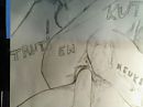 neuktekening,, foto 640x480, 0 reacties, 2 stemmen