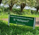 niemand gezien, foto 3024x2738, 2 reacties, 11 stemmen