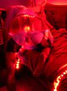 nieuwe lingerie, foto 491x661, 0 reacties, 0 stemmen