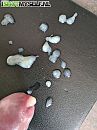 oh jee muismatje nat, foto 412x550, 5 reacties, 11 stemmen