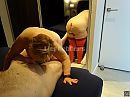 ook heerlijk, foto 4000x3000, 11 reacties, 53 stemmen