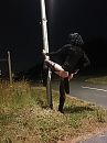 paaldansen.., foto 3000x4000, 7 reacties, 17 stemmen