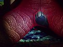 pantylover, foto 640x480, 1 reacties, 6 stemmen