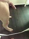 pik in ruststand, foto 3000x4000, 4 reacties, 29 stemmen