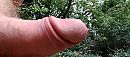 pik, foto 4000x1788, 4 reacties, 10 stemmen