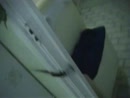 pissletje, film 00:00:00, 3 reacties, 22 stemmen