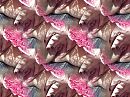 pussy galore, foto 900x676, 3 reacties, 13 stemmen
