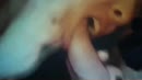 shadow in emmen, film 00:00:19, 1 reacties, 12 stemmen
