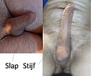 slap en stijf, foto 948x797, 5 reacties, 8 stemmen