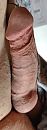 stijf genoeg zo, foto 1481x4000, 0 reacties, 7 stemmen