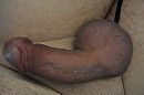 stijf, foto 4000x2661, 2 reacties, 4 stemmen
