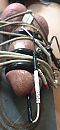 super genieten, foto 1710x3692, 0 reacties, 7 stemmen