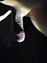 ter kennismaking, foto 747x1000, 3 reacties, 5 stemmen