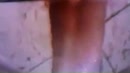 tijdens vakantie in grieks, film 00:00:15, 27 reacties, 148 stemmen
