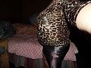 tijger modus xxx, foto 4000x3000, 1 reacties, 9 stemmen