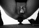 training vervolg, foto 2833x2084, 21 reacties, 48 stemmen