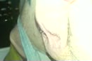 trek, film 00:00:00, 3 reacties, 4 stemmen