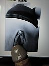 tribute, foto 1536x2048, 0 reacties, 2 stemmen
