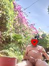 tuin, foto 384x512, 7 reacties, 16 stemmen