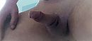 veel zin, foto 2032x915, 0 reacties, 3 stemmen