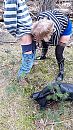 veluwemilfje heeft jeuk, foto 2250x4000, 18 reacties, 154 stemmen