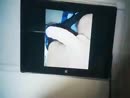 voor peter, film 00:00:26, 3 reacties, 7 stemmen