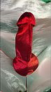 vurig rood, foto 576x1024, 0 reacties, 3 stemmen