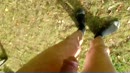 wandeling, film 00:00:11, 1 reacties, 5 stemmen