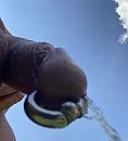 warm weer, dorst.., foto 695x763, 7 reacties, 18 stemmen