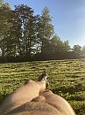 warme dag op het naaktstrand, foto 1536x2048, 3 reacties, 6 stemmen