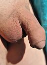 weer zo eentje om groot te, foto 2932x4000, 3 reacties, 6 stemmen