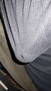 weeral, foto 2250x4000, 2 reacties, 1 stemmen