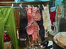 welk trav of cdke, foto 800x600, 0 reacties, 5 stemmen