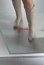 welke hengst, foto 723x1057, 58 reacties, 137 stemmen