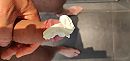 who wants cream.., foto 4000x1888, 1 reacties, 3 stemmen
