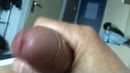 wie wil?, film 00:00:00, 32 reacties, 69 stemmen