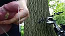 woudl be better if soemone, foto 1344x756, 2 reacties, 9 stemmen