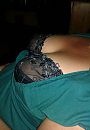 xxx, foto 358x515, 103 reacties, 233 stemmen