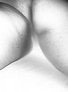 zalige fwb, foto 3000x4000, 0 reacties, 3 stemmen