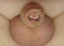 zit veilig in zijn huisje om, foto 3241x2392, 1 reacties, 3 stemmen