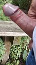 zo lekker, foto 2250x4000, 2 reacties, 5 stemmen