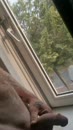 ...., film 00:00:09, 2 reacties, 13 stemmen
