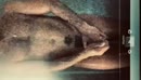 "Lang trekken, dik duwen", film 00:00:00, 9 reacties, 20 stemmen